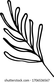 Hojas sueltas de hierbas realistas dibujadas a mano. Flores primaverales dibujadas a mano tradicionales con estilo de tinta.