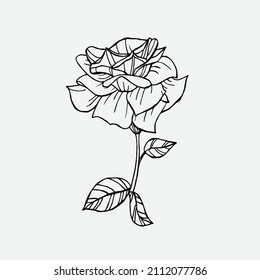 Elemento de rosa simple dibujado a mano. Ilustración del vector Doodle