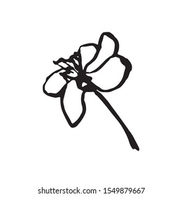 Cute hand drawn single sakura element. Traditional japanese or chinese spring flower in ink style. Doodle cherry plant.