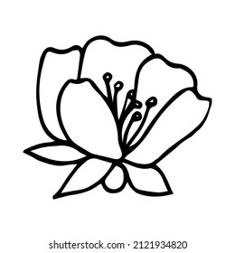 Cute hand drawn single sakura element. Traditional japanese or chinese spring flower in ink style. Doodle cherry plant.