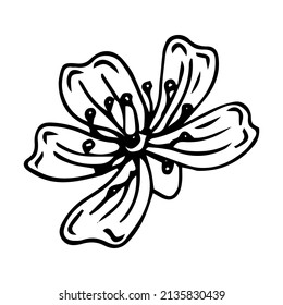 Cute hand drawn single sakura element. Traditional japanese or chinese spring flower in ink style. Doodle cherry plant.