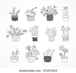 Cute hand drawn sketch, doodle cactus set