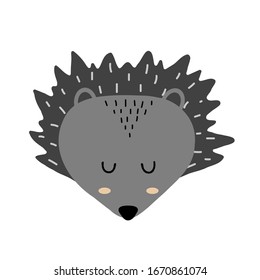 Cute hand drawn sleeping hedgehog. Cartoon zoo. Vector illustration. Animal for the design of children's products in scandinavian style.