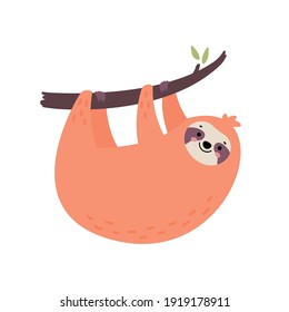 Cute hand drawn sloth hanging on the tree. Lazy animal character. Jungle animal hanging on a branch. Design for t shirt print, greeting card, poster. Hand drawn vector illustration.