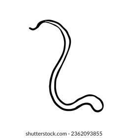 Cute hand drawn snake. Doodle vector illustration