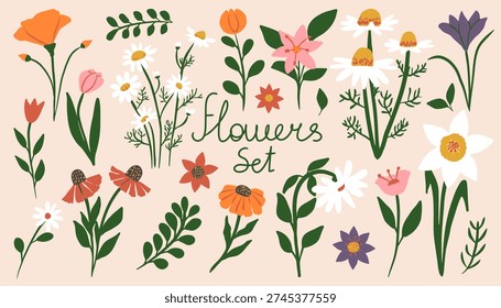 Сollection of cute hand drawn spring garden flowers and leaves. Floral vector set. Botanical elements for summer design.