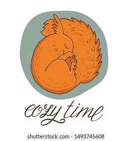 Cute hand drawn squirrel with hand lettering - Cozy time