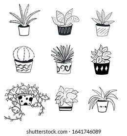 Cute hand drawn succulents and cactus vector illustration set. Home gardening, house plants, Indoor greenery illustration collection with plants in pot. Aloe vera, snake plant, gardenia, philodendron.
