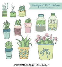 Cute hand drawn terrariums, houseplants and succulents in pots. Vector set.