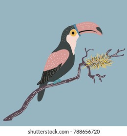 Cute hand drawn toucan bird. Vector Illustration