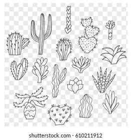 Cute hand drawn traced vector cactus sketch. Succulents plants.