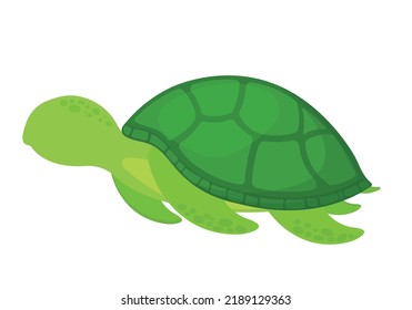 Cute Hand Drawn Turtle Sea Animal Vector Illustration in White Background for Kids Book and Banner Background Element