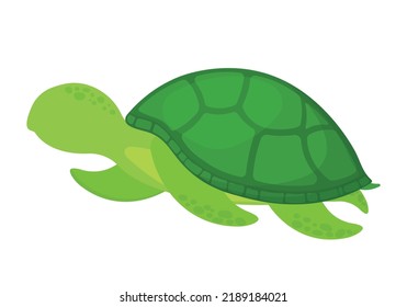 Cute Hand Drawn Turtle Sea Animal Vector Illustration in White Background for Kids Book and Banner Background Element