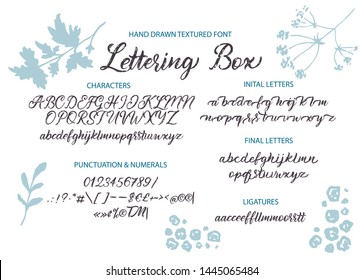 Cute hand drawn vector alphabet ABC font with inital and fonal letters, ligatures, numbers, symbols.