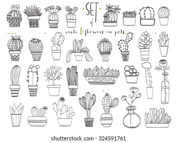 Cute hand drawn vector cacti in the pots. Beautiful exotic collection. Set of potted plants