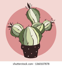 Cute hand drawn, vector cactus.  Mexican cactus isolated icon. Can be used for cards, invitations or like sticker. 