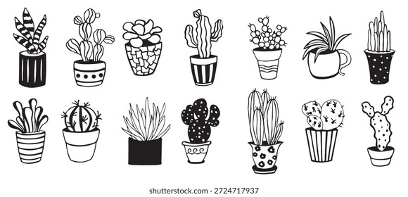lindos cactos desenhados à mão suculentos e cactos