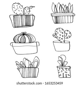 Cute hand drawn vector cactuse in the pots design line plant nature cartoon flower symbol pot icon thorn garden collection graphic drawn summer