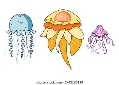 Cute hand drawn vector collection of jellyfish isolated on white background. Colorful and creative marine fishes for package, banner, print, fabric, card, gift, wrapping paper, wallpaper, textile, web