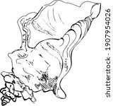 Cute hand drawn vector illustration. Elements for greeting cards, posters, stickers and seasonal design. Isolated on white background. 
Shells and whales