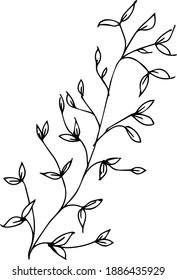 Cute hand drawn vector illustration. Elements for greeting cards, posters, stickers and seasonal design. Isolated on white background. Flowers and 
plants