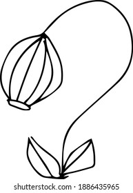 Cute hand drawn vector illustration. Elements for greeting cards, posters, stickers and seasonal design. Isolated on white background. Flowers and 
plants