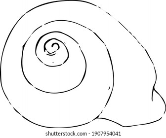 Cute hand drawn vector illustration. Elements for greeting cards, posters, stickers and seasonal design. Isolated on white background. 
Shells and whales