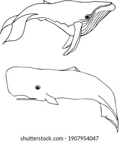 Cute hand drawn vector illustration. Elements for greeting cards, posters, stickers and seasonal design. Isolated on white background. 
Shells and whales