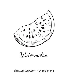 Cute hand drawn vector watermelon sketch. Page for coloring fruit. 