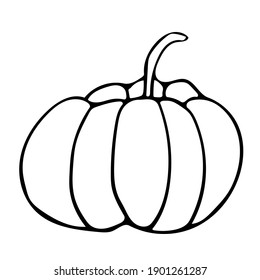 Hortalizas con mano finas - calabaza. Ilustración vectorial de garabatos para cobijo vegetal, recetas de cocina y diseño de cocina.