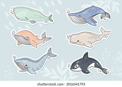 Cute hand drawn whales sticker pack