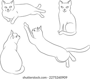 Cute hand drawn white cat in different positions. Set of cat positions. Cat posing. Cats. Sketch. Vector art.