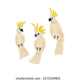 Cute hand drawn white parrots on white. Parrots set. Birds illustration