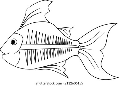 Cute Hand drawn X-Ray Fish Isolated in a white background vector illustration, simple coloring book illustration
