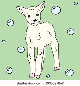 Cute hand illustration of baby lamb and bubbles, perfect for kids