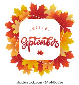 cute hand lettering quote 'Hello September' decorated by red and yellow maple leaves. Perfect for posters, banners, greeting cards, prints, sale brochures, etc. Festive typography inscription. EPS 10