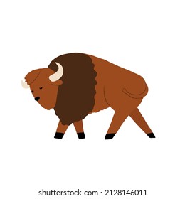 Cute hand-drawn American Buffalo, South America wild bull, bison animal. Cartoon vector illustration on isolated background.