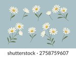 Cute hand-drawn daisy collection. Simple flat vector chamomile flowers with leaves on a blue background for spring decor.