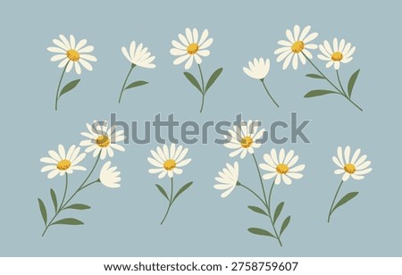 Cute hand-drawn daisy collection. Simple flat vector chamomile flowers with leaves on a blue background for spring decor.