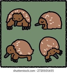 Cute hand-drawn echidna illustration set featuring a spiny anteater in multiple poses. Thick outlines, rounded shapes, and warm flat colors make this wildlife animal artwork perfect for stickers, kids illustrations, educational materials, and friendly animal character designs.