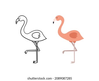 Flamingo dibujado a mano. Ilustración aislada del vector de aves. Contorno y versión de color.