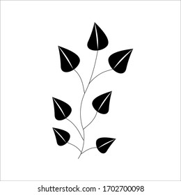 Cute hand-drawn forest leaf, branch. Vector illustration, Doodle style for wedding decoration and arrangement.