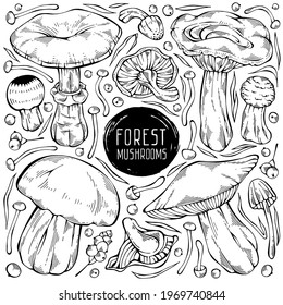 Cute hand-drawn forest set. Black and white vector collection of assorted wild mushrooms, leaves and berries. Can be used for menu design, label, icon, recipe, packaging, web. Creative seasonal design