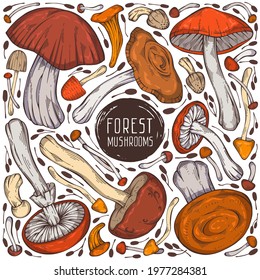 Cute hand-drawn forest set. Colorful vector collection of assorted mushrooms and wild grass. Can be used for menu design, label, icon, recipe, packaging, web. Creative seasonal design