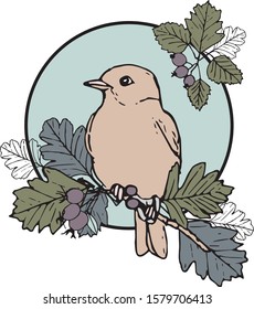 Cute hand-drawn illustration with a bird sitting on a branch. Vintage style. A placement print to "Bird and Berries" collection patterns.