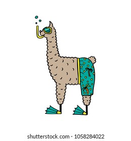 Cute hand-drawn illustration of a lama in the beach shorts and swimming mask. 
