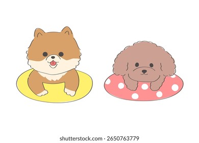 Uma ilustração desenhada à mão bonito de um Pomeranian e um Toy Poodle flutuando em um anel de natação