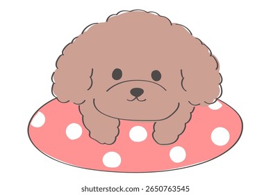 Uma ilustração desenhada à mão bonito de um poodle de brinquedo flutuando em um anel de natação