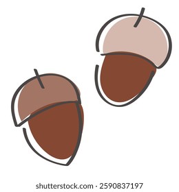 A cute, hand-drawn illustration of two acorns