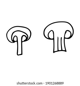 Cute hand-drawn mushrooms cut in half. Doodle vector illustration for vegetable blanks, cooking recipes and kitchen design.